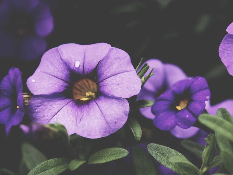 sudoku hyper sudoku screenshot 6